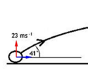 Magnified initial force diagram